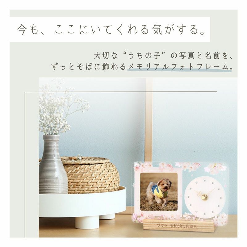 メモリアル時計 | ノア精密《公式》MAG時計専門店「NOASHOP」