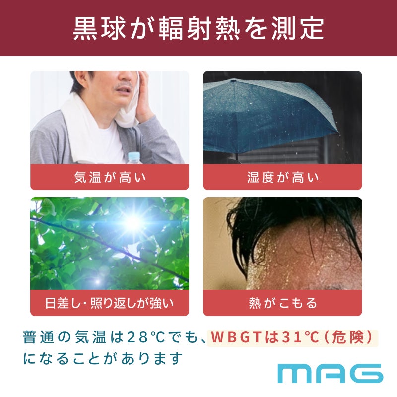 WBGT黒球式熱中症指数計 TH113WHZ【10台セット】